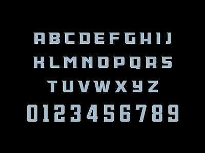 Washington Knights Typeface design fonttype football knights sports sports branding theuflproject typeface typography washington