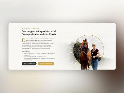 Ina Hofheinz Vet Web Design About adobexd company design interactive screendesign ui ux vet web webdesign wordpress xd