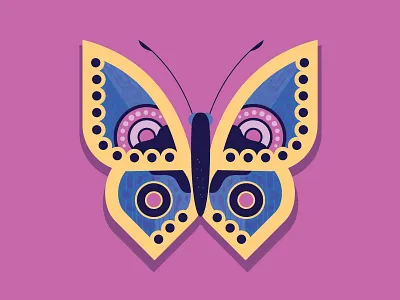 Butterfly 1 butterfly insect pink purple yellow