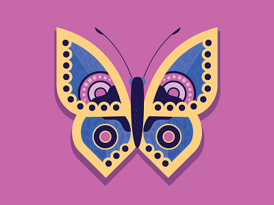 Butterfly 1 butterfly insect pink purple yellow