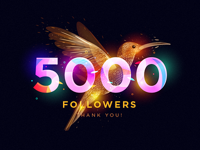 5000 Followers 5000 colibri dribbble followers