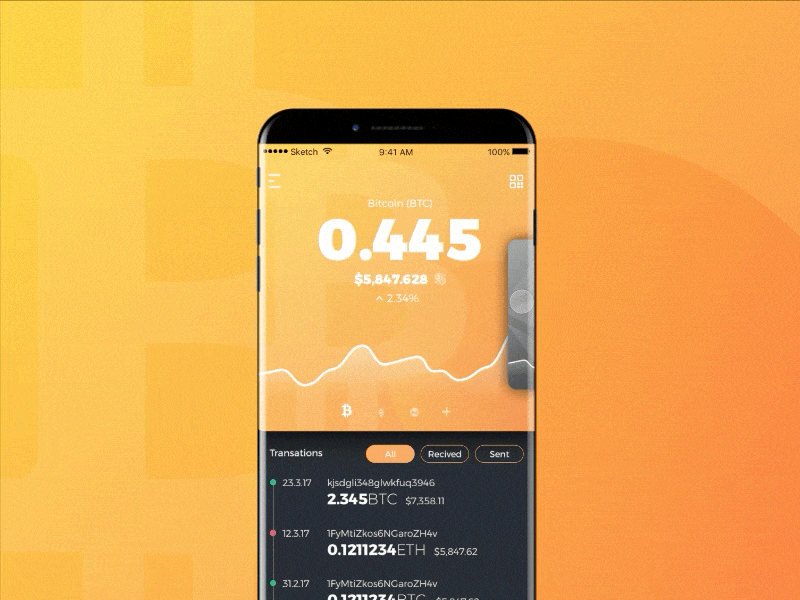 Example of Crypto Wallet