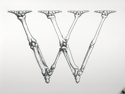Garamond Corpvs Kickstarter alphabet drawing handmade letter letters logo stopmotion type type design typography w