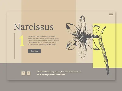 Narcissus about clean design flower geometric grid main page minimalistic narcissus plant ui vector web website yellow