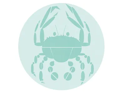 Crab crab graphic illustration photoshop