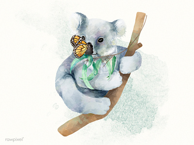 butterfly takes over koala butterfly digital painting eucalyptus friend illustration koala painting