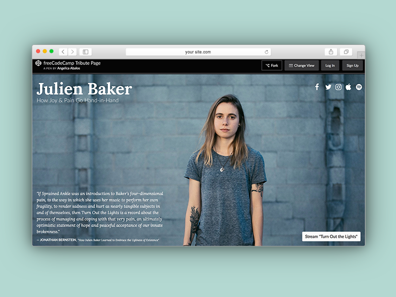 Example of freeCodeCamp | Julien Baker Tribute Page