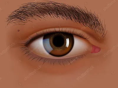 Vector Hispanic eye closeup eye eyebrow eyelashes eyelid eyesight hispanic latin american make up realistic vector vision correction