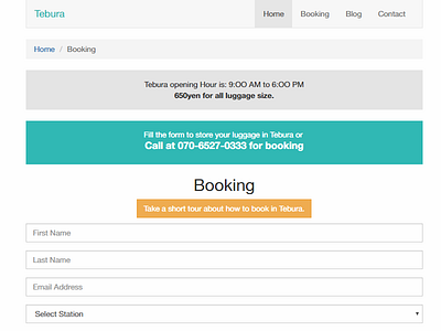 Tebura New Booking Page booking form luggage booking luggage storage tebura