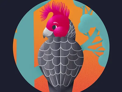 Gang Gang Cockatoo adobe illustrator airbrush childrens illustration cockatoo illustration kidlit vector art vector illustration
