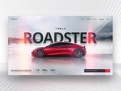 Tesla Roadster Concept auto car design interface layout road roadster site tesla ui web webdesign