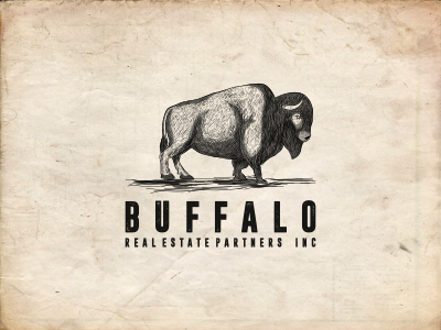 Buffalo art drawing graffiti illustration pin rose skull tshirt