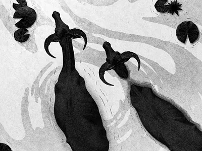 Buffalos asia black and white buffalo collage fluid top shot top view travel