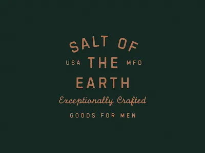 SOTE Shirt Lockup apparel branding identity typography