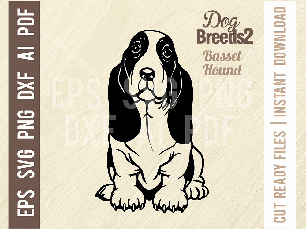 Basset Hound Sitting Dog SVG Stencil by Sergey on Dribbble