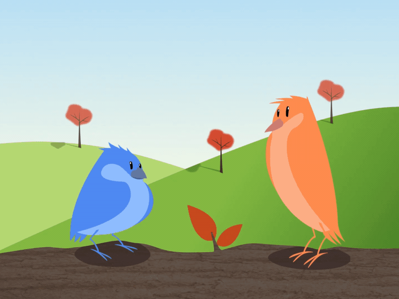 Sprichwörtlich - Mit Kanonen auf Spatzen schießen advent calendar adventskalender birds canon explosion idioms sayings sparrow sprichwort