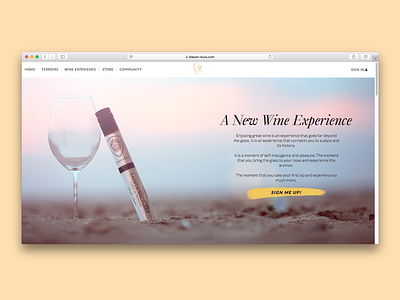 Webdesign for Blason-Louis website webdesign website wine