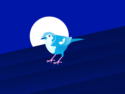 Blu Bird adobe bird illustrator
