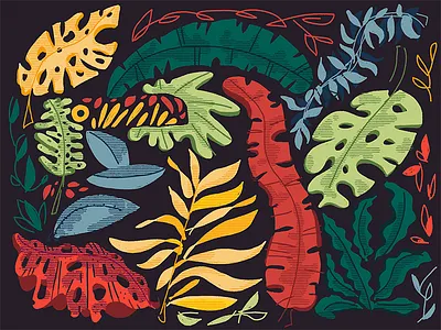 Jungle 2 bird colors hidden illustration leaves shadow