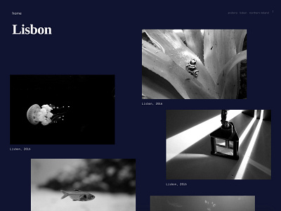 Photo gallery - Lisbon, Portugal clean dark gallery layout photography photos random sea ui web design website