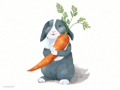 Rabbit animal bunny carrot cute happy illustration painting rabbit watercolor