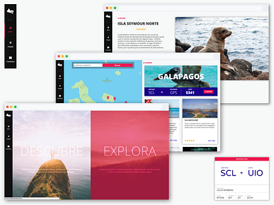 Travel Discovery WebApp design flexbox react web