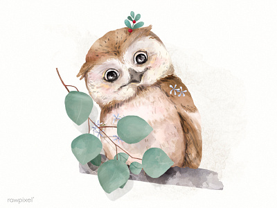 Owl bird character cute illustration owl watercolor