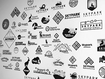 💥BLAST FROM THE PAST💥 adobe brand branding logo logomark nature park symbols