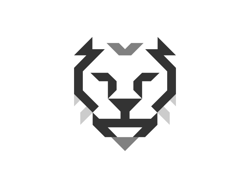 Example of Branding Pro Package