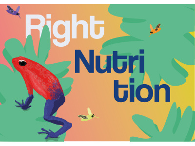 Frog illustration- Right Nutrition frog illustration