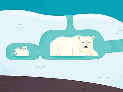 Polar Bear Den animals illustration infographic museum nature science wildlife