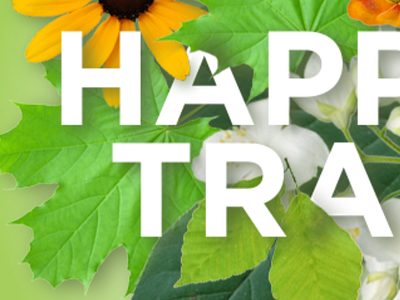 Peek of a larger piece design flowers foliage graphic design green letters typography vitamins