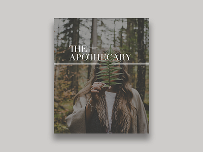 The Apothecary Promo brand identity branding identity plant