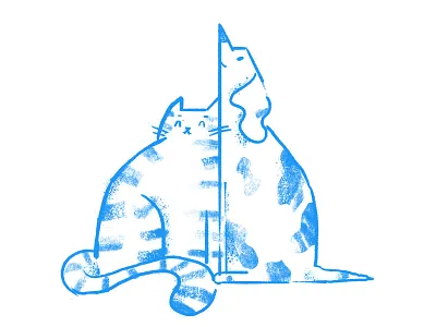 Karma Wraca cat charity dog help tooploox wrocław