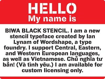 Biwa Stencil Black custom type exclusive font design new type sans stencil type type design