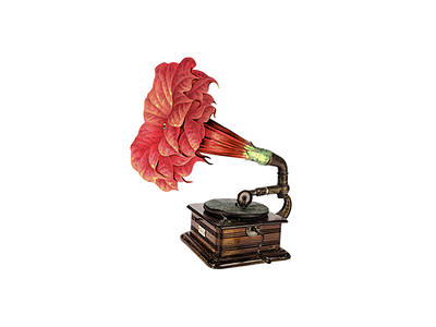 Mola la Gramola flower gramola illustration old retro vintage
