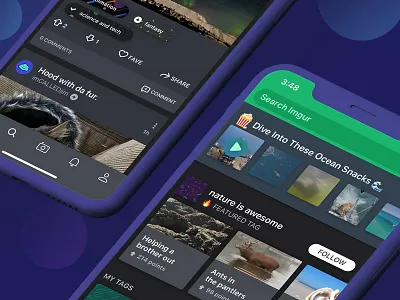 Imgur Feed and Snacks