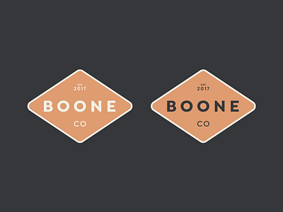 Logo Concept branding logo