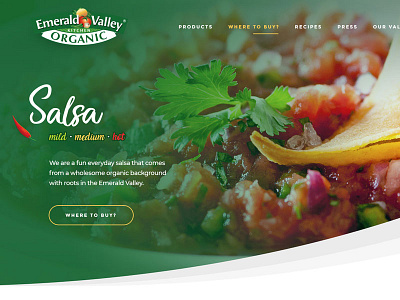 Homepage Design design green homepage salsa