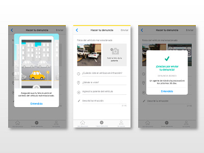 "Carga de fotos" - Denuncia vial app camera design flow flujo form ilustraciones ios popup screen ui ux