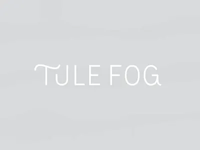 Tule Fog | Primary Logo Concept branding custom type identity modern simple thin typography