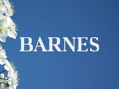 Free Barnes Serif Font design display font fonts graphic modern otf stylish text typeface typography unique