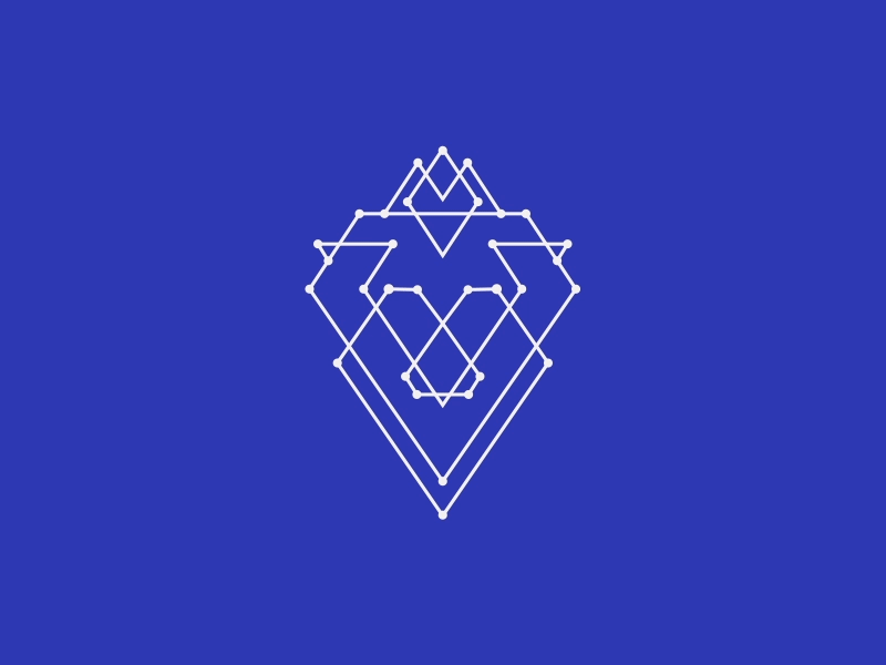Kinsly Lion animation branding line lion logo lviv trimpath