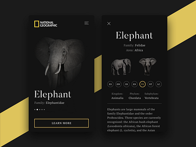 National Geographic App Concept amazing animals apple cool design expirience ios ios11 iphone ui ux