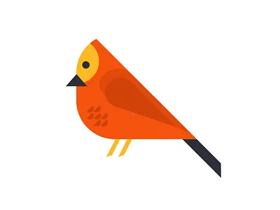 Bird illustration