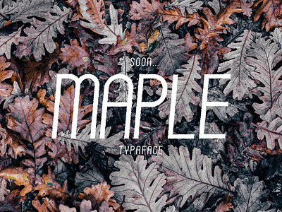 Maple typeface deals font hand lettering holdendesignco otf retro sans serif script serif ttf type typeface