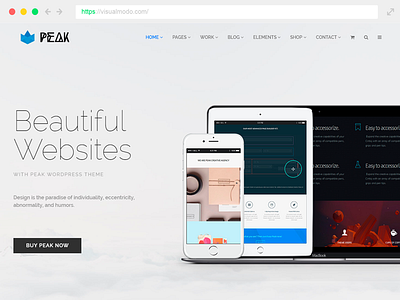 Peak Responsive WordPress Theme Build A Website plugins portfolio responsive site builder template theme tools web design web development wordpress