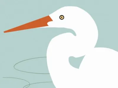 Egret bird egret film illustration sweden