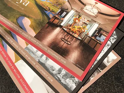 Direct Mailer // Detail brand brand colors branding color colors design direct mail graphic design mailer print real estate real estate marketing