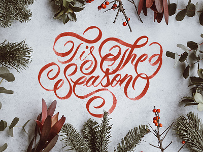 Tis The Season brushcalligraphy calligraphy christmas customtype design graphic design handlettering holidays lettering logo type typography